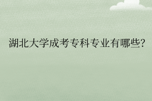 湖北大学成考专科专业有哪些?